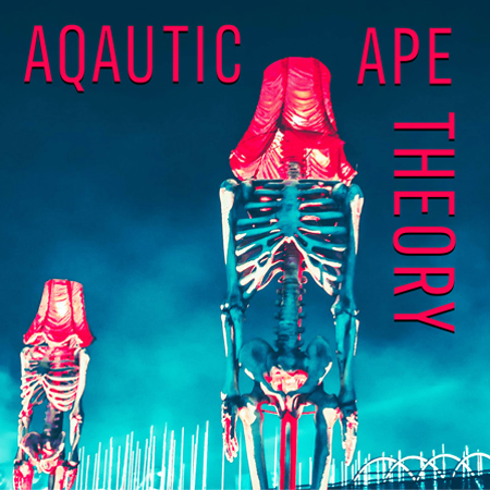 Aquatic Ape Theory